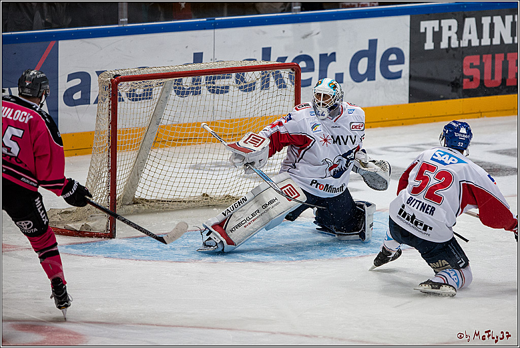 Koelner Haie - Adler Mannheim, 30.10.2016